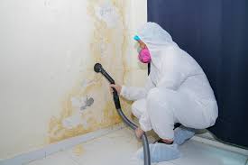 Best Mold Documentation for Insurance Claims  in Dunellen, NJ